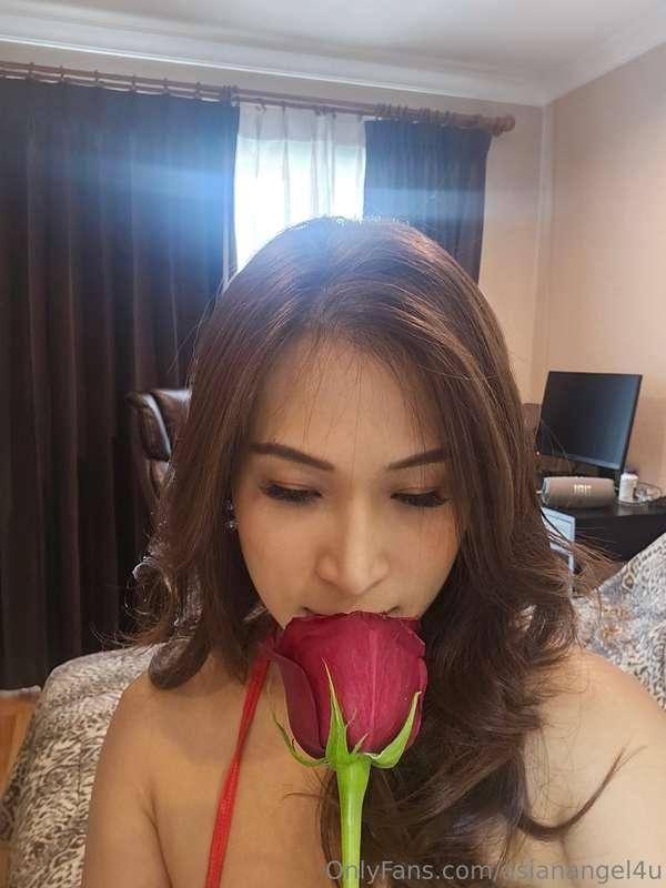 I love rose🌹