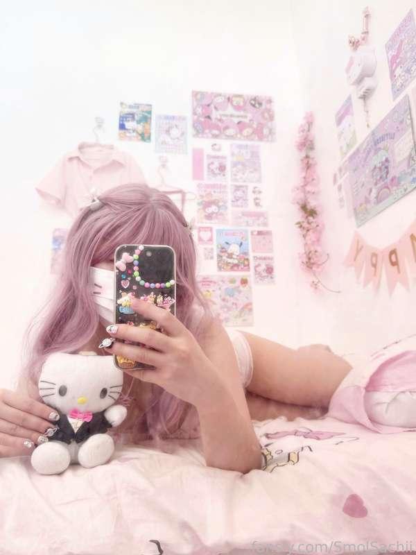 smolsachii image #0