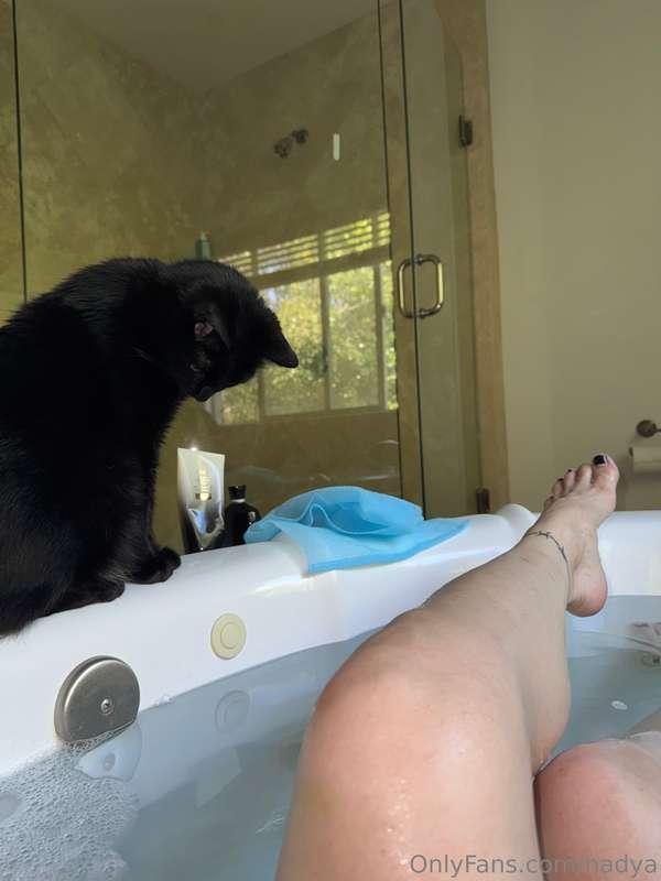 my cat always wants to be with me hahaha 👀