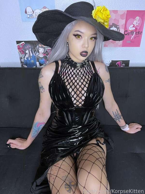 korpsekitten image #0