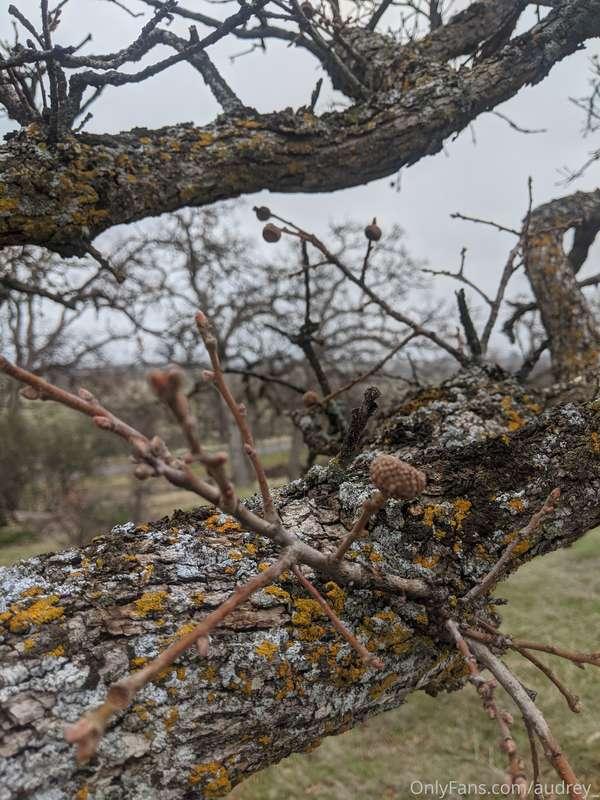 Went on a walk in the rain and observed the first signs of s..