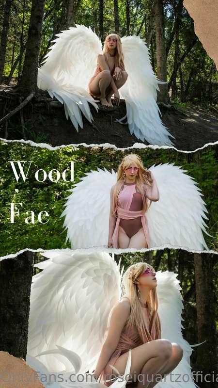 🥀 Woodland Fae - Full Album (White Wings)   Hewwo Subscriber..