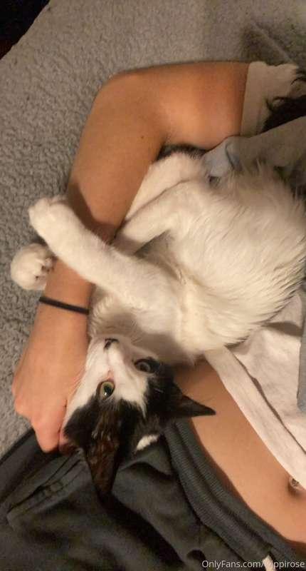 look at how cute my pussy is