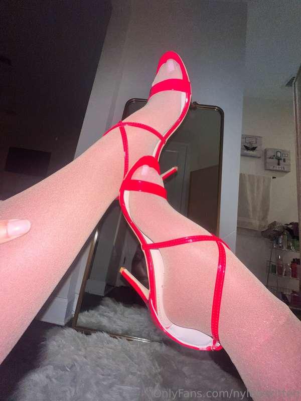 nylonskitten image #6