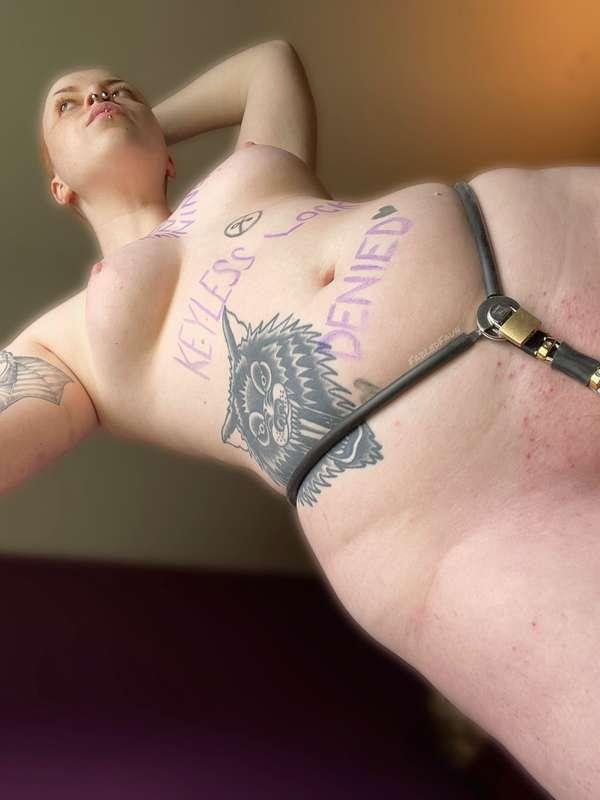 fabledfaun image #8