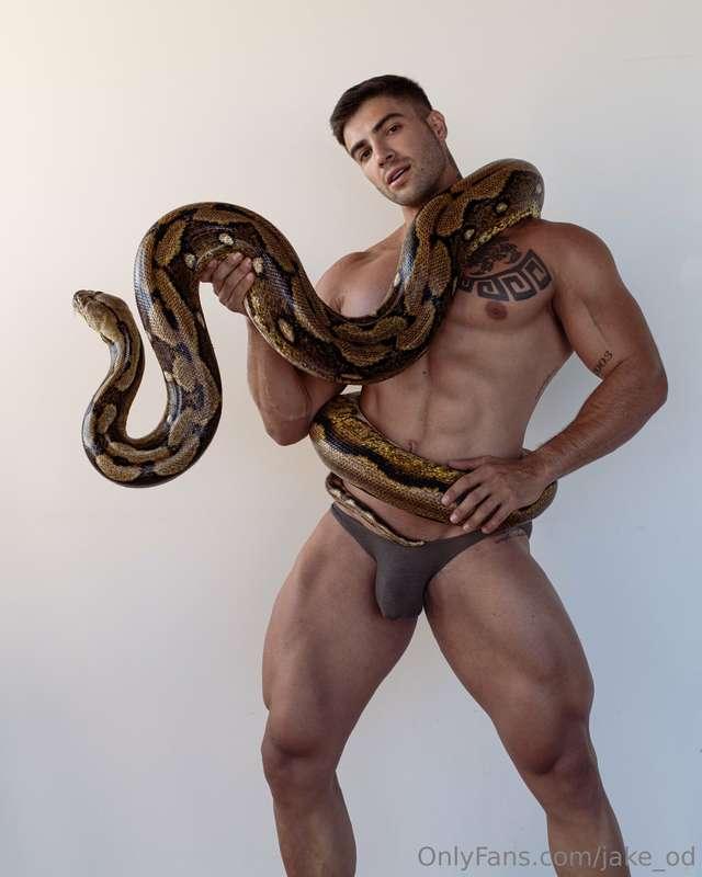 jake_od image #5