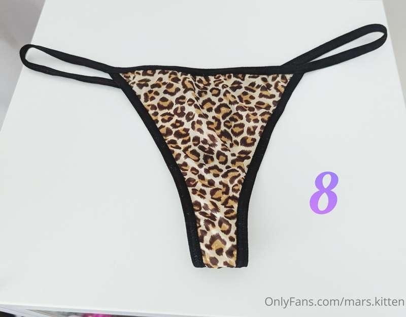 mars.kitten image #21