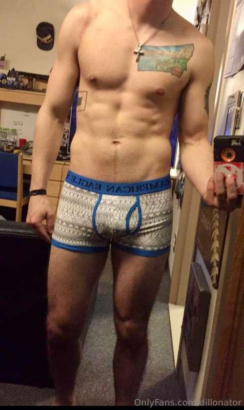 dillonator image #4