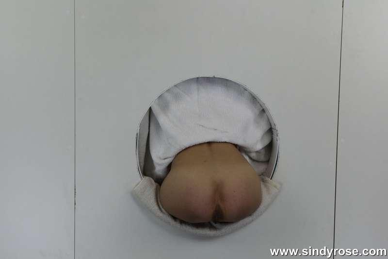 sindyrose image #3