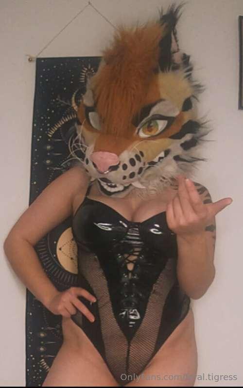 feral.tigress image #2