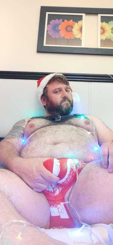 bearpamp image #1