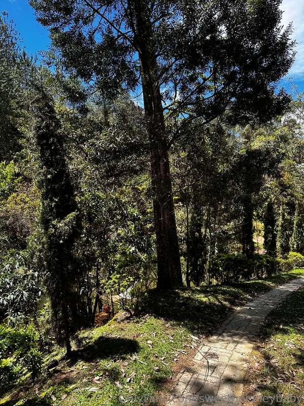 sweethersheybaby image #0