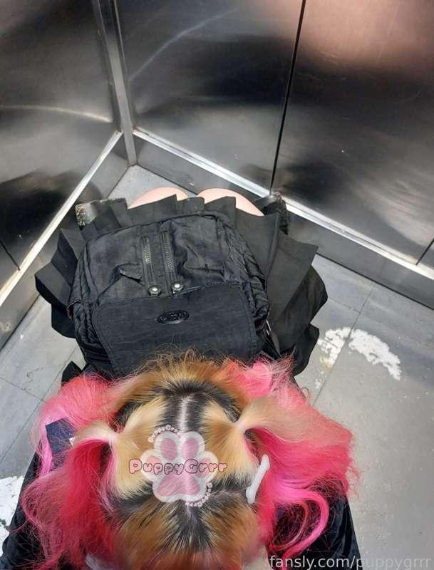 already in the elevator he told me that we should get to our floor like this, I love to be so close to my master's penis always 🐾💗.