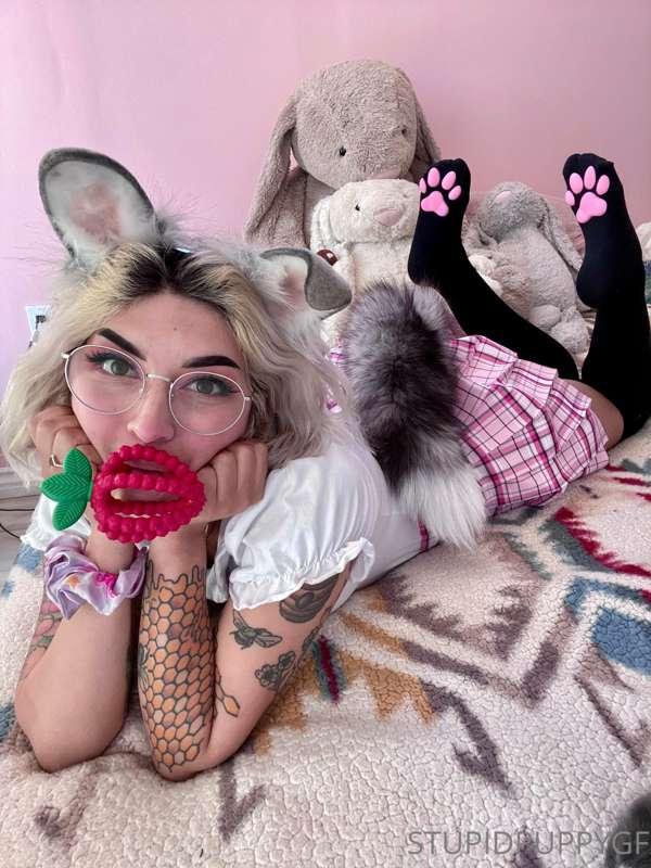 Hi everyone! My wishlist has been updated! Take a peek and s..