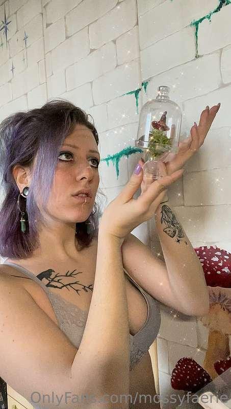 🍄 Magical surprises and where to find them 🍄

Ever wondered ..