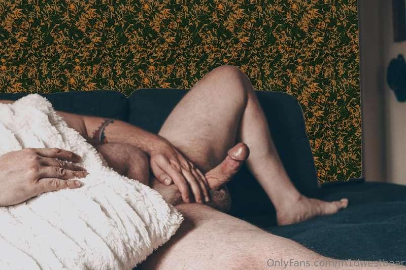 m1dwestbear image #7
