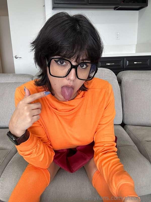 what are ur thoughts about this velma ?