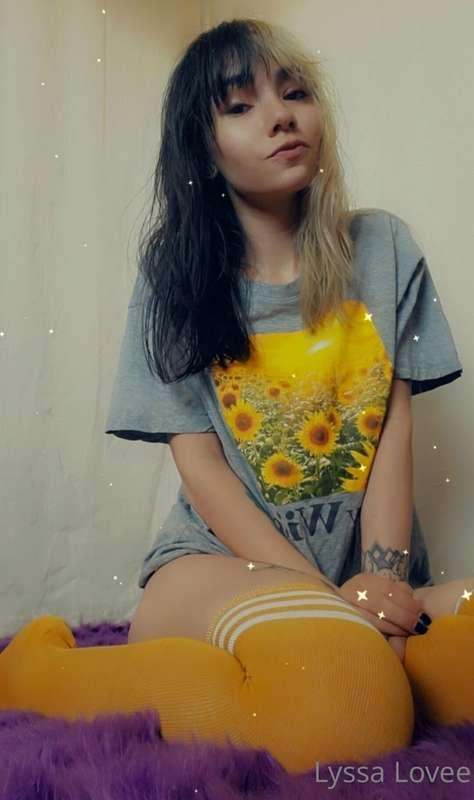 Hello 💛🌻