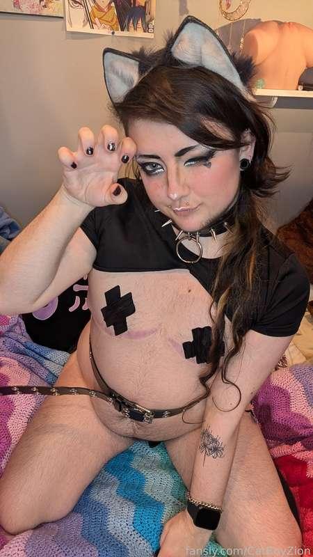 catboyzion image #1