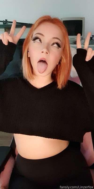 linzerfox image #2