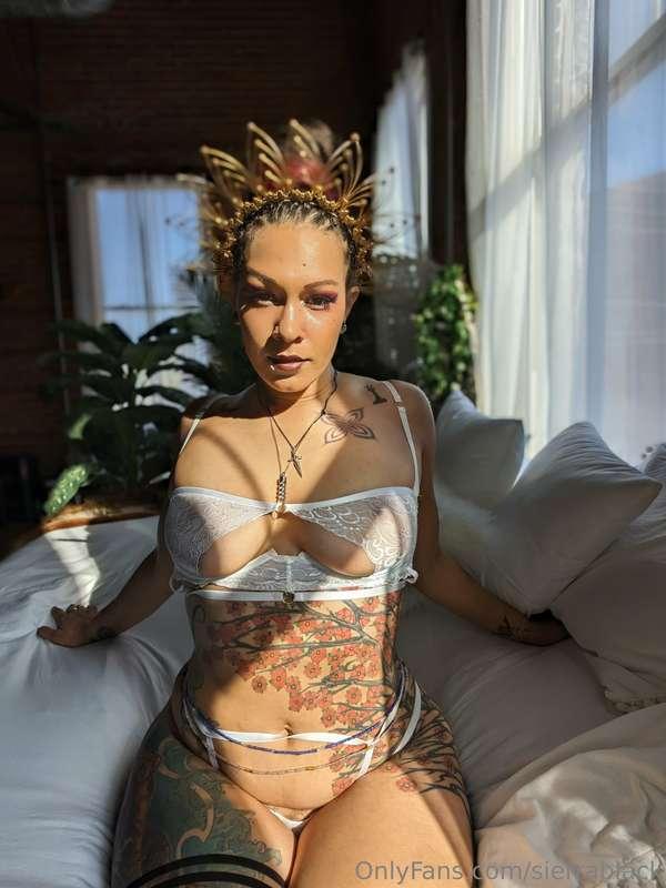 sierrablack image #16