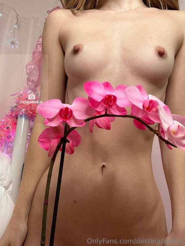 destinationkat image #8