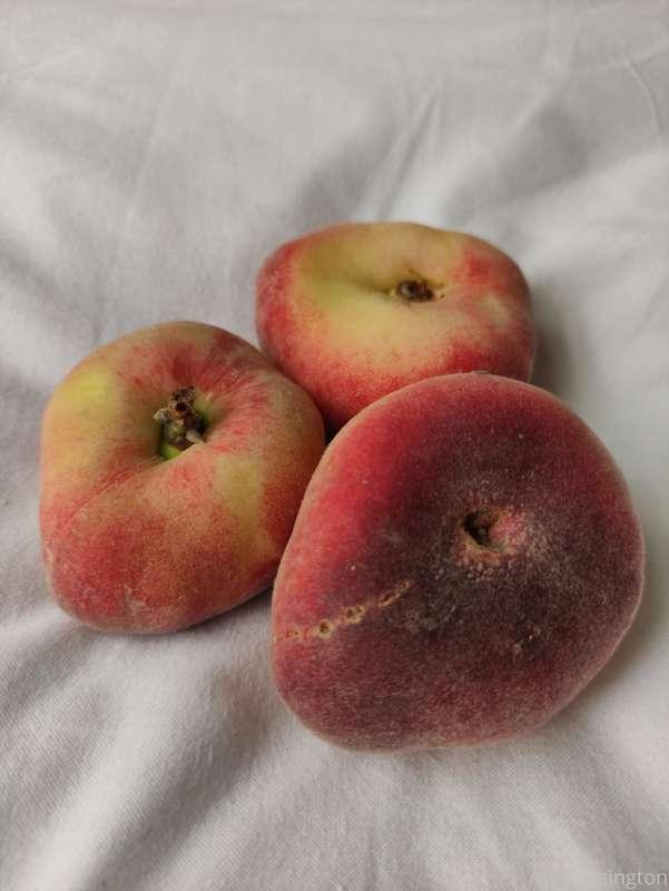 🍑🍑🍑 fresh peaches or baked peaches?
