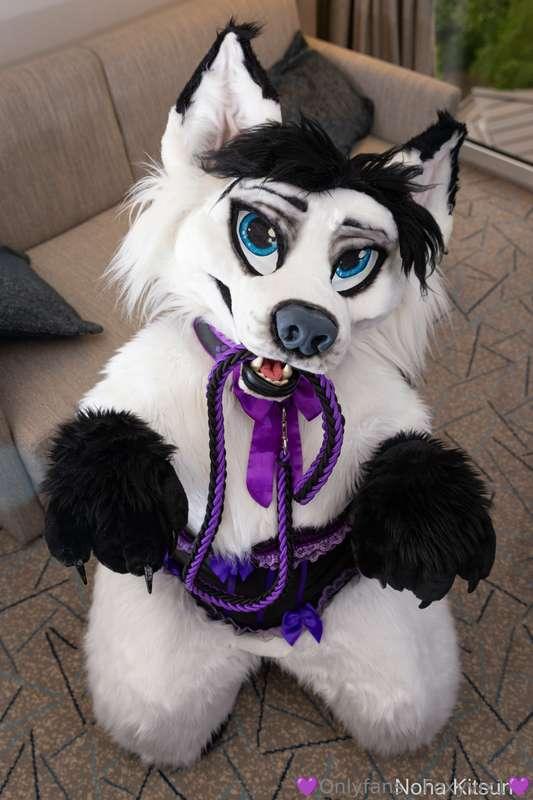Arf ^^