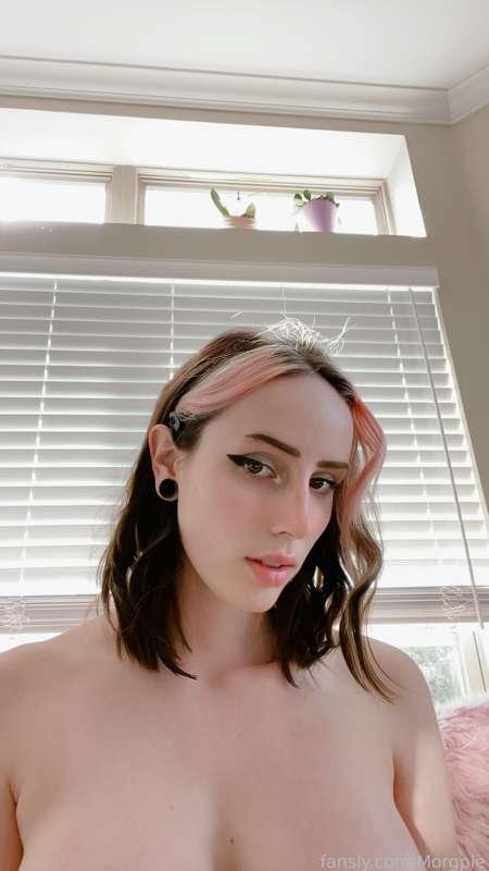 morgpie image #13