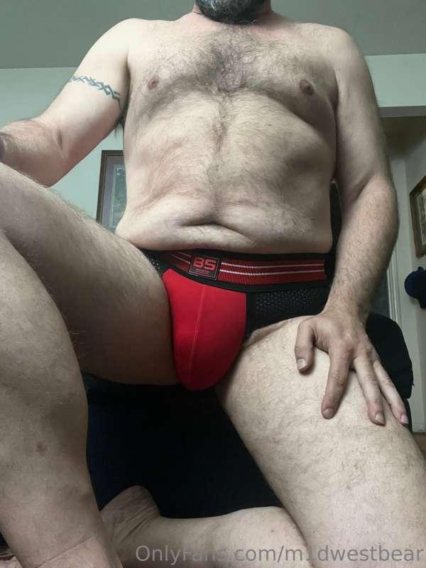 m1dwestbear image #2