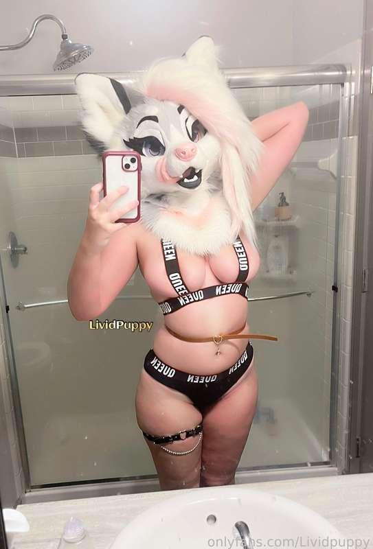 lividpuppy image #5