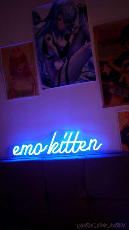 little_emo_kitten image #16