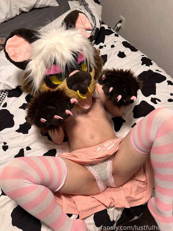 lustfulhcund image #1