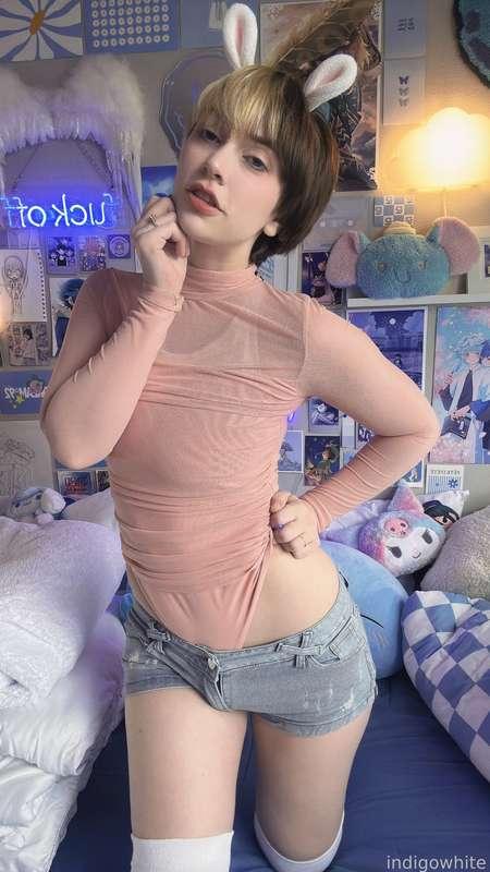 indigowhite image #1