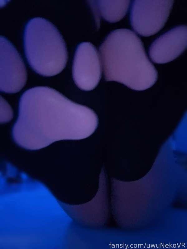 uwunekovr image #0