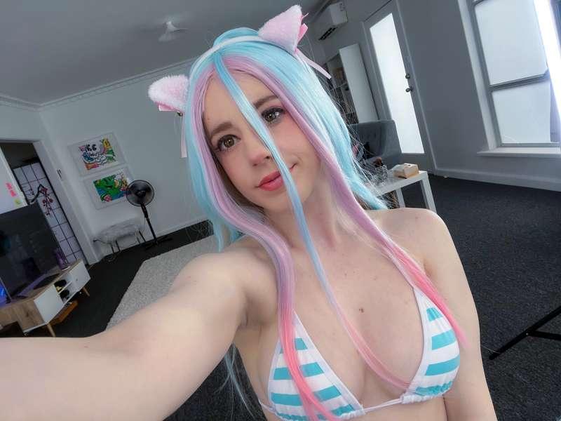 meow :3 shiro