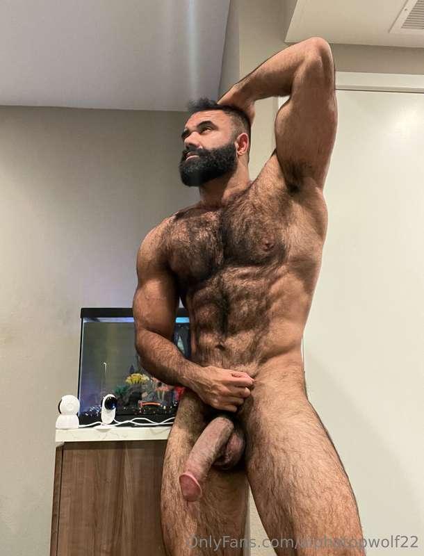 alphatopwolf22 image #0