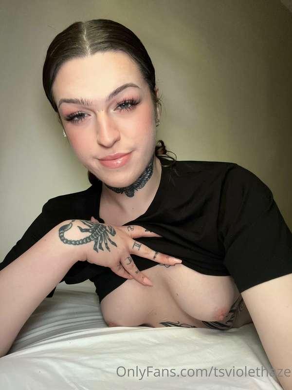 tsviolethaze image #2