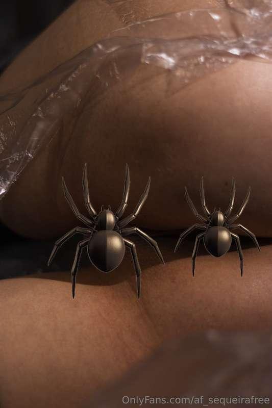 af_sequeirafree image #0