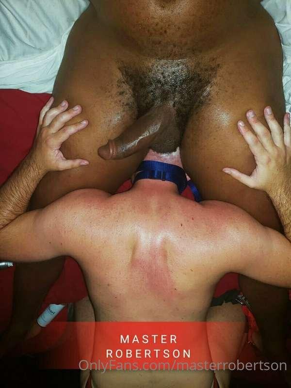 masterrobertson image #0