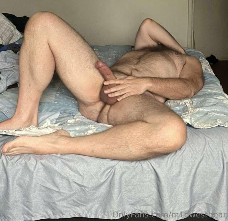 m1dwestbear image #7