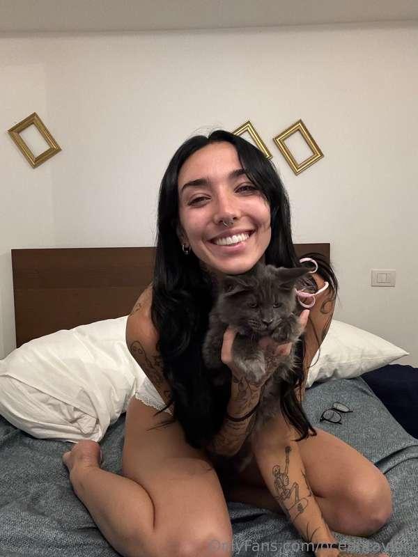 u like my 🐱
