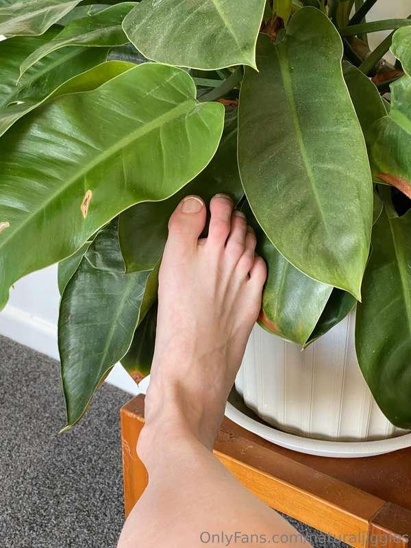 Some more branchy goodness. Do you like plants? Do you like ..