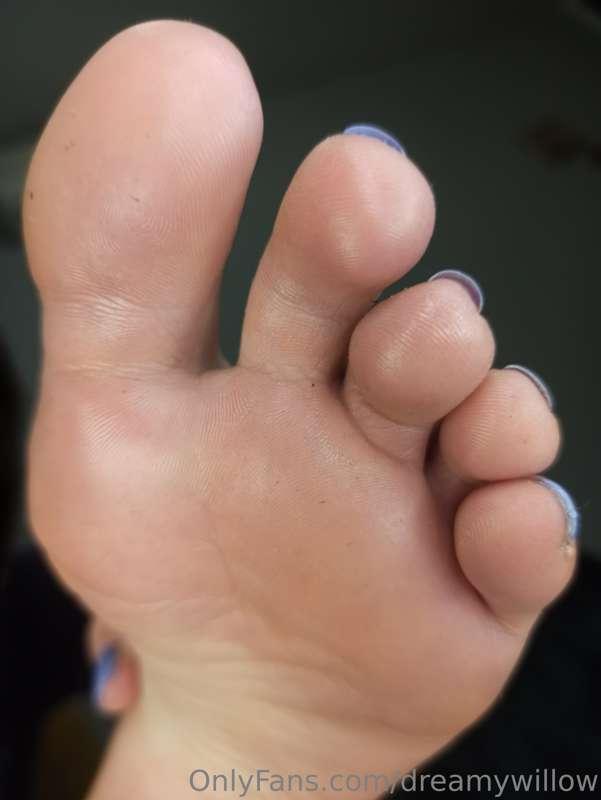 dreamywillow image #22