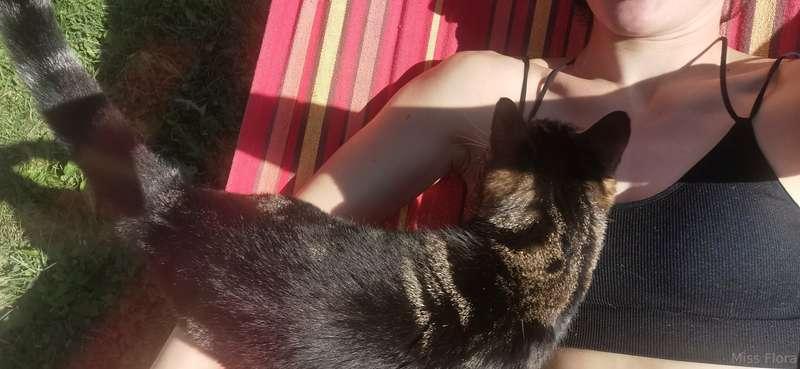 Today I'm enjoying the sun, the hammock and the kitty's comp..