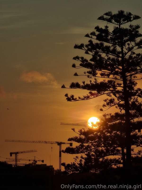 the.real.ninja.girl image #3