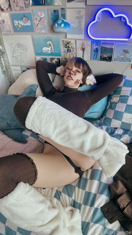 indigowhite image #153