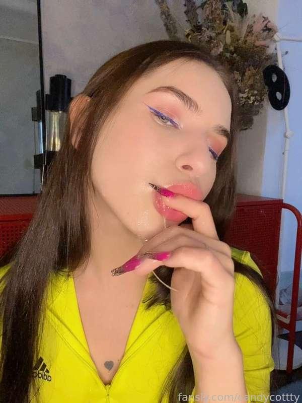 candycot image #2