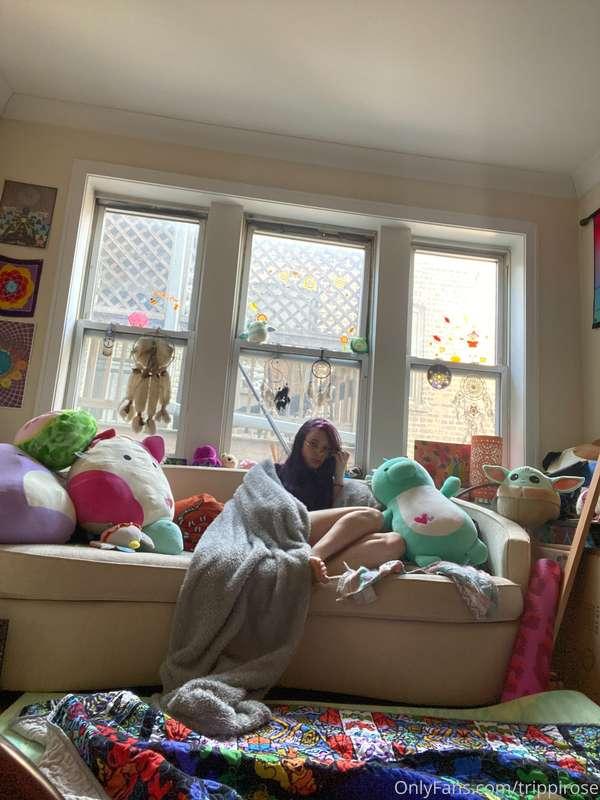 lazy morning