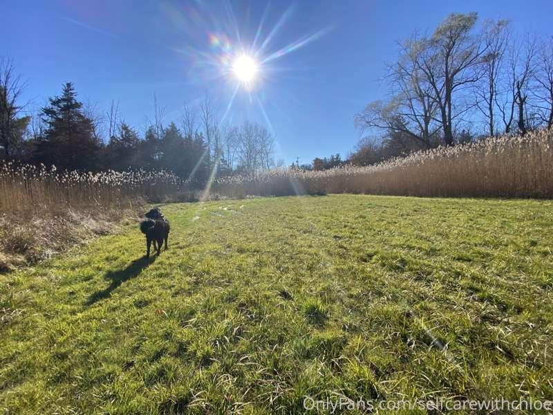 Has it been sunny near you lately? Stepping outside and lett..